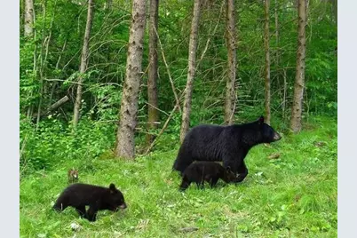 20 Condo Road #3, Campton, NH 03223 - Photo 18