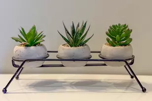 527 NW Rd, Canterbury, NH 03224 - Photo 24