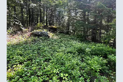 Lot 8 Stonebridge Road, Wilmot, NH 03287 - Photo 24
