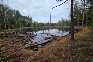 669 High St, Candia, NH 03034 - Photo 16