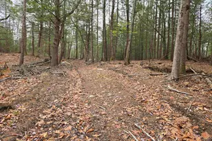 669 High St, Candia, NH 03034 - Photo 4