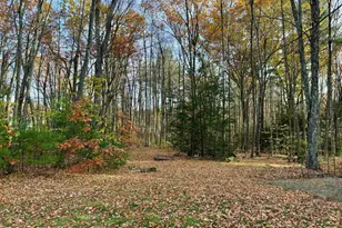 45 Peach Tree Rd, Auburn, NH 03032 - Photo 40