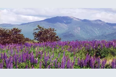 359 Bickford Hill Road, Franconia, NH 03580 - Photo 48