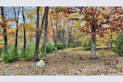 7 Winterberry Road, Brookline, NH 03033 - Photo 12