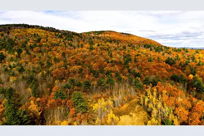 000 Willard Pond Road, Hancock, NH 03449 - Photo 12