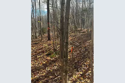 0 Glade Circle #29, Campton, NH 03223 - Photo 34