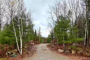 61 Thorn Hill Rd, Bethlehem, NH 03574 - Photo 1