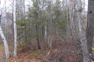 Lot 49 Mittenwald Strasse Rd, Bartlett, NH 03812 - Photo 1