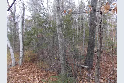 Lot 49 Mittenwald Strasse Road, Bartlett, NH 03812 - Photo 4