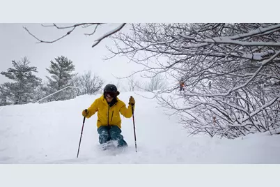 239 Skimobile Road #314, Conway, NH 03860 - Photo 30