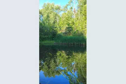 947 Foster Hill Road, Landaff, NH 03585 - Photo 54