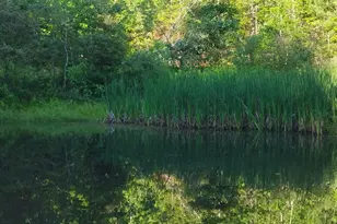 947 Foster Hill Rd, Landaff, NH 03585 - Photo 54