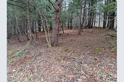 003 West Unity Road #3, Unity, NH 03743 - Photo 6