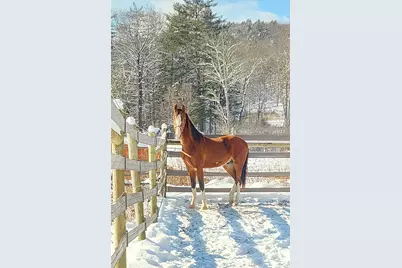 484 Old Swanzey Road, Chesterfield, NH 03462 - Photo 56