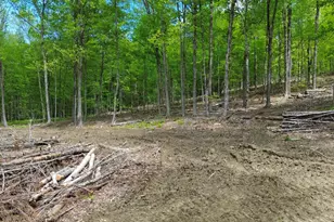 Lot 26-4 Plain Rd, Hinsdale, NH 03451 - Photo 1