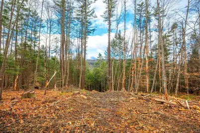 40 E Putney Brook Road, Putney, VT 05346 - Photo 26
