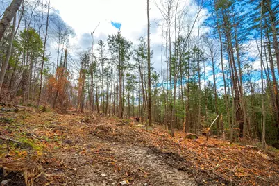 40 E Putney Brook Road, Putney, VT 05346 - Photo 28