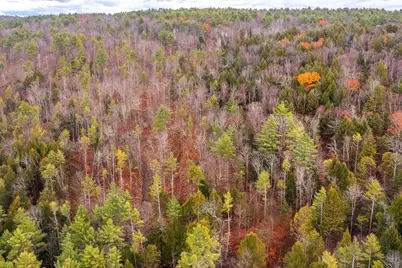 40 E Putney Brook Road, Putney, VT 05346 - Photo 34