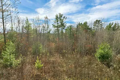 7 Lady Slipper Lane, Moultonborough, NH 03254 - Photo 2