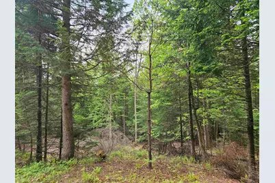 35 Langway Road, Lyman, NH 03585 - Photo 2