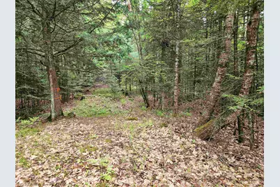 35 Langway Road, Lyman, NH 03585 - Photo 6
