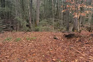 00 Partridge Hill Rd, Sandwich, NH 03227 - Photo 1