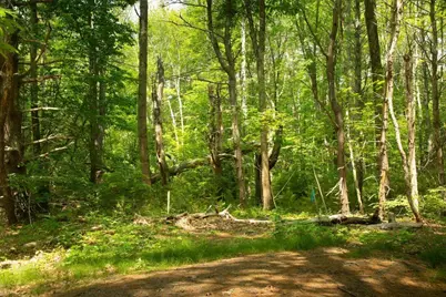 2 Lils Alley, York, ME 03909 - Photo 8