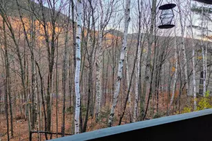 36 Easterly Rd, Lincoln, NH 03251 - Photo 6