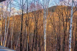 36 Easterly Rd, Lincoln, NH 03251 - Photo 16