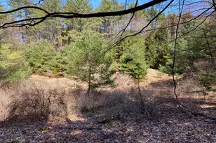 1254 US Route 5, Weathersfield, VT 05156 - Photo 58