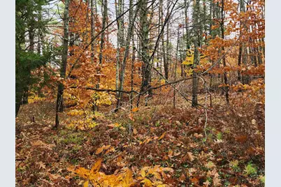 19 White Mountain Highway #19, Wakefield, NH 03872 - Photo 18