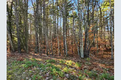 18 White Mountain Highway #18, Wakefield, NH 03872 - Photo 40