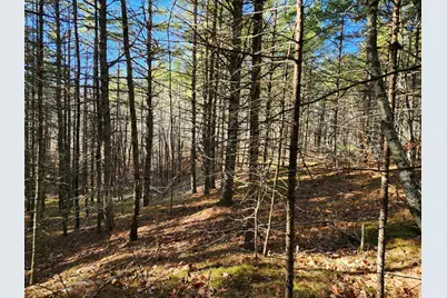 18 White Mountain Highway #18, Wakefield, NH 03872 - Photo 6
