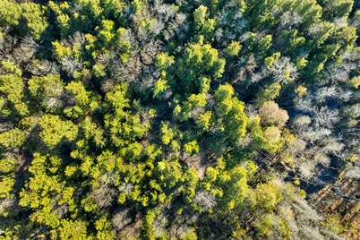 00 Borough Road, Alexandria, NH 03222 - Photo 6