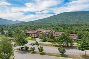 23 Black Bear Rd, Waterville Valley, NH 03215 - Photo 44