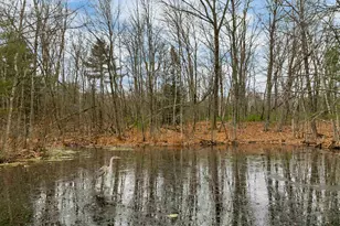 227 Twist Hill Rd, Dunbarton, NH 03046 - Photo 46
