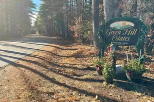 38 Webster Rd, Conway, NH 03813 - Photo 46