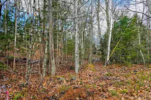 5 Windgate Terrace, Haverhill, NH 03785 - Photo 26