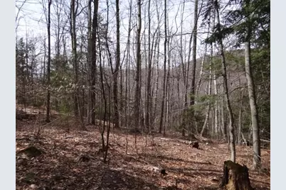 0 South Road, Woodstock, VT 05071 - Photo 4