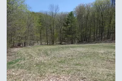 0 South Road, Woodstock, VT 05071 - Photo 1
