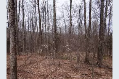 0 South Road, Woodstock, VT 05071 - Photo 14