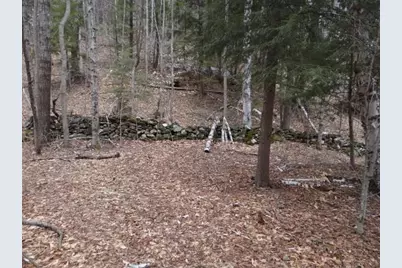 0 South Road, Woodstock, VT 05071 - Photo 18