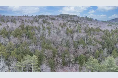 00 Route 100, Jamaica, VT 05343 - Photo 6