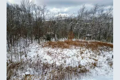 41 Moose Hollow Road, Winhall, VT 05340 - Photo 2
