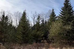 130 Watson Rd, Winchester, NH 03470 - Photo 48