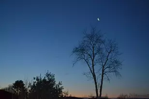 130 Watson Rd, Winchester, NH 03470 - Photo 50