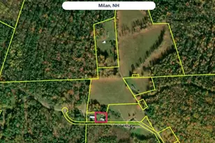 170 Cogswell Rd, Milan, NH 03588 - Photo 22