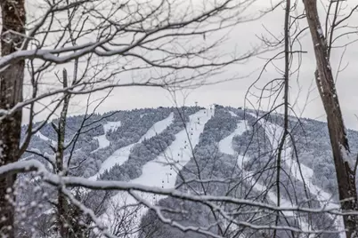 8 Silver Birch Road #8, Winhall, VT 05340 - Photo 28