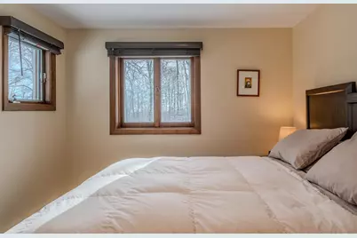 8 Silver Birch Road #8, Winhall, VT 05340 - Photo 22