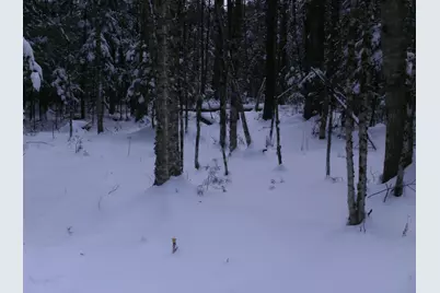 84 Vernon Avenue Also Lots # 103 and 104 on Oak Circle, Haverhill, NH 03765 - Photo 8